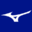 www.robinante.shop favicon